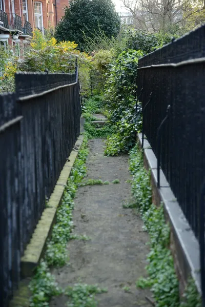 DSC_7162 (Large).JPG